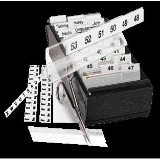 Quantore - Registerblätter Djois 10x150mm selbstklebend verstellbar permanent weiß 5 Stück