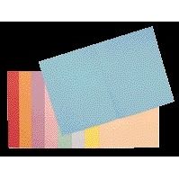 Esselte - Carpeta plegable A4 con funda manila 180gr roja