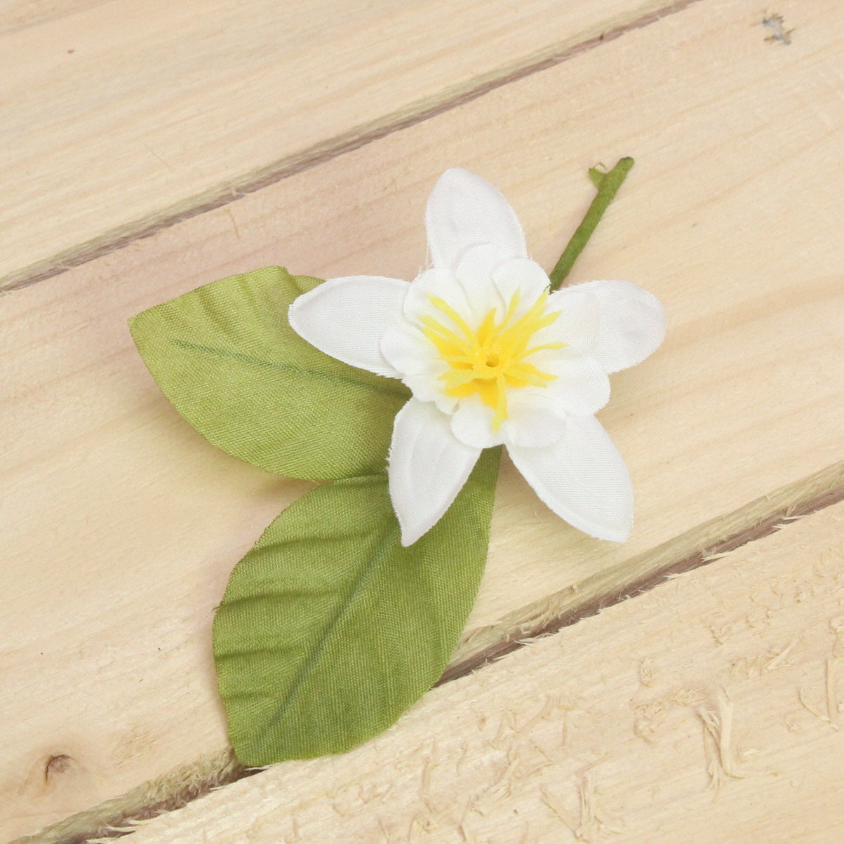 Klika - Bonbon doosjes Chocolade doosje Citroenbloesem 24 stuks