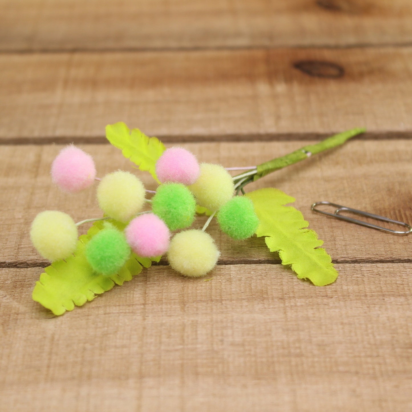 Klika - Bonbon doosjes Chocolade doosje Mimosa pastel 12 stuks