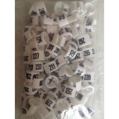 Klika - Collection series MINI white number 201-300