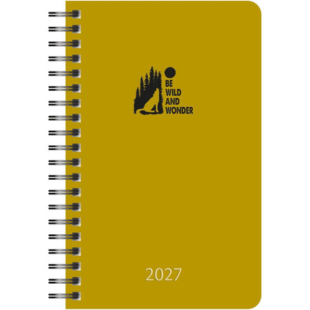 Aurora - Technica 10W PP 500 micron colore, colori assortiti, 2025