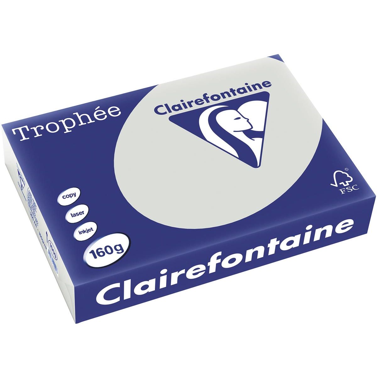 Clairefontaine -  Trophée tel, gekleurd papier, A4, 160 g, 250 vel, lichtgrijs