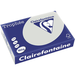 Clairefontaine -  Trophée tel, gekleurd papier, A4, 160 g, 250 vel, lichtgrijs