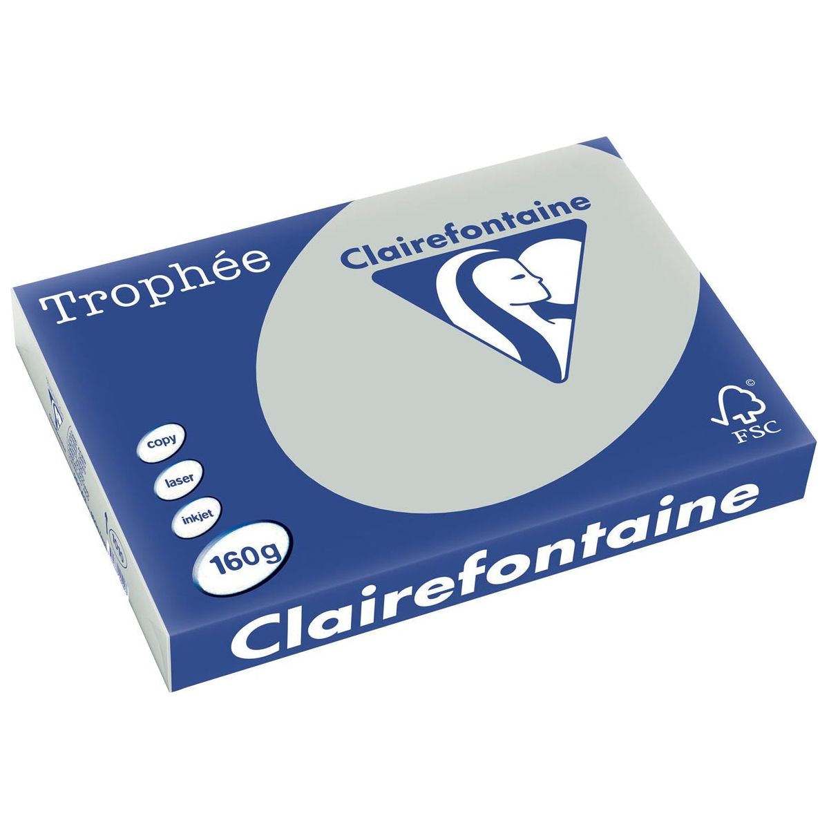 Clairefontaine - Trophée Tel, farbiges Papier, A3, 160 g, 250 Blätter, hellgrau