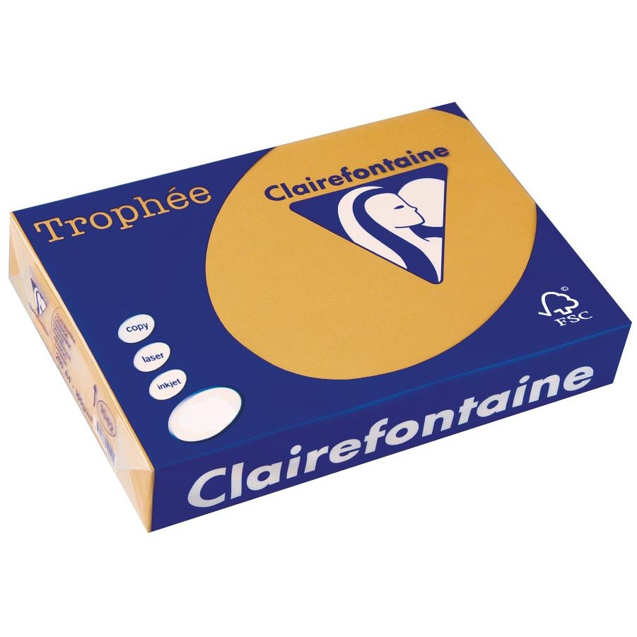 Clairefontaine - Trophée tel, colored paper, A4, 160 g, 250 sheets, mocha brown
