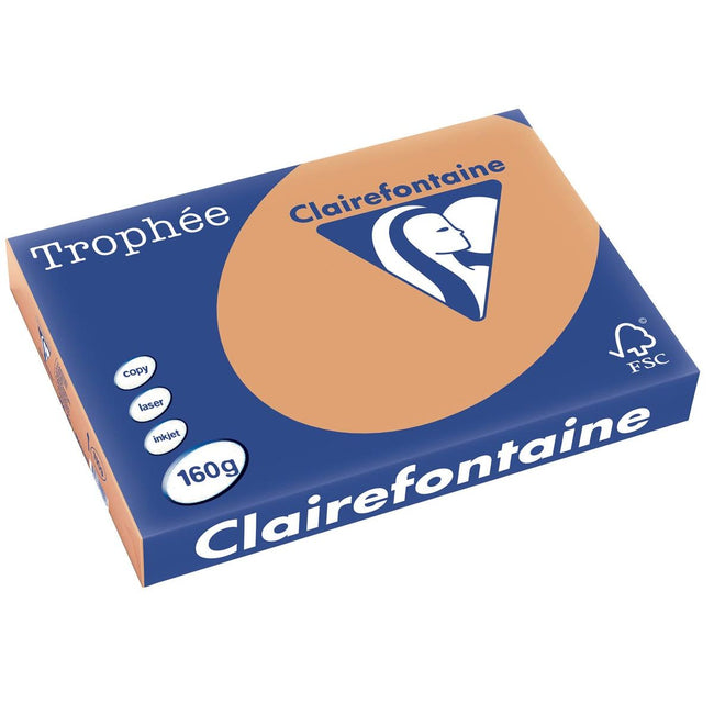 Clairefontaine -  Trophée tel, gekleurd papier, A3, 160 g, 250 vel, mokkabruin