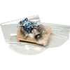 Klika -  Krimpzak | CPP | 35x 61cm | glashelder | 100 stuks