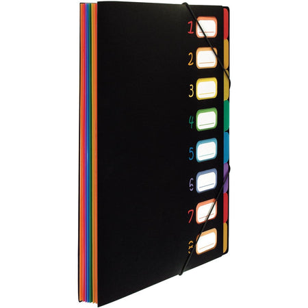 Viquel - Cartella di smistamento Rainbow Class, formato A4, con 8 scomparti
