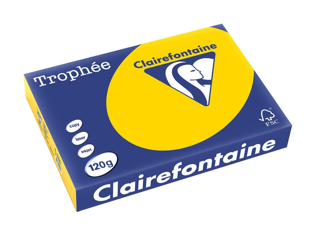 Clairefontaine - Trophée tel, gekleurd papier, A4, 120 g, 250 vel, goudgeel