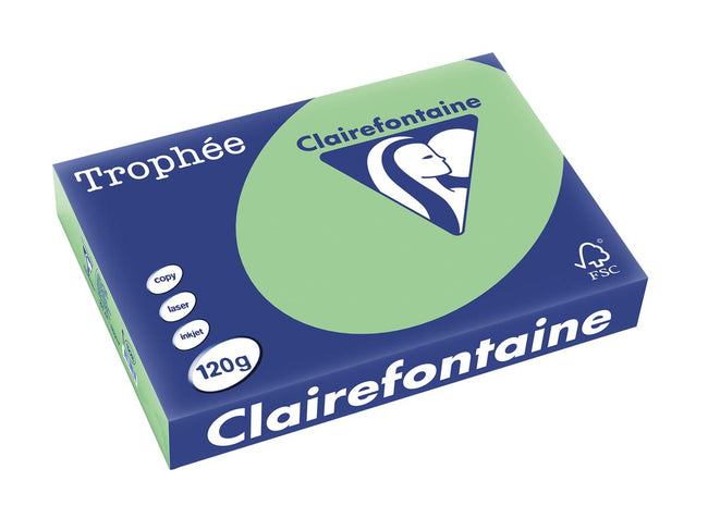 Clairefontaine - Trophée tel, gekleurd papier, A4, 120 g, 250 vel, natuurgroen