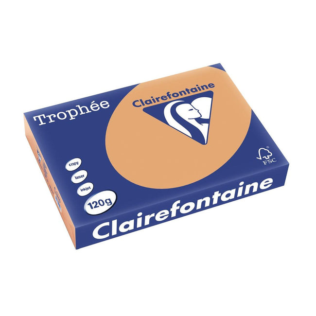 Clairefontaine - Trophée tel, carta colorata, A4, 120 g, 250 fogli, marrone moka