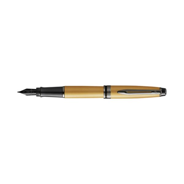 Waterman - Fountain Pen Expert RT M PEINTURE MÉTALLIQUE GOLD | 1 pièce