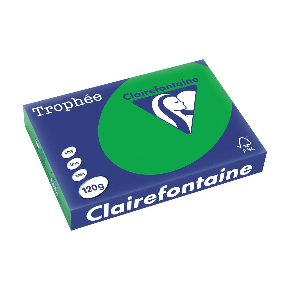 Clairefontaine - Intens Trophée, papier coloré, A4, 120 g, 250 feuilles, Bijartgroen