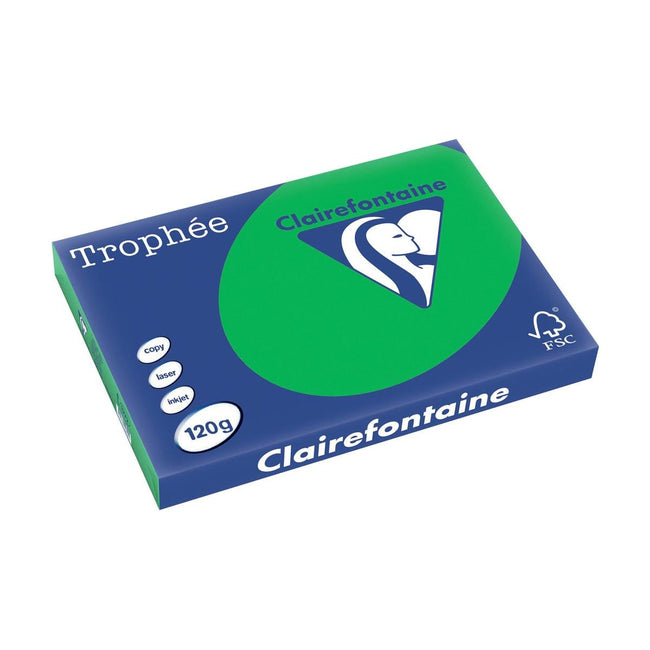 Clairefontaine - Trophée intensiv, farbiges Papier, A3, 120 g, 250 Blatt, Bijartgroen