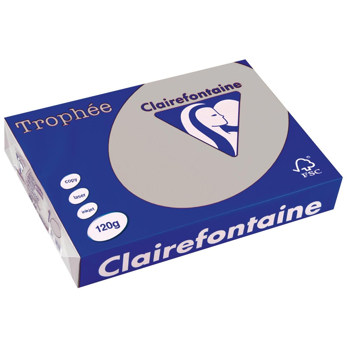 Clairefontaine - Trophée tel, gekleurd papier, A4, 120 g, 250 vel, lichtgrijs