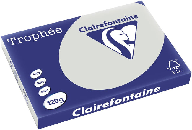 Clairefontaine - Trophée Tél, papier coloré, A3, 120 g, 250 feuilles, gris clair