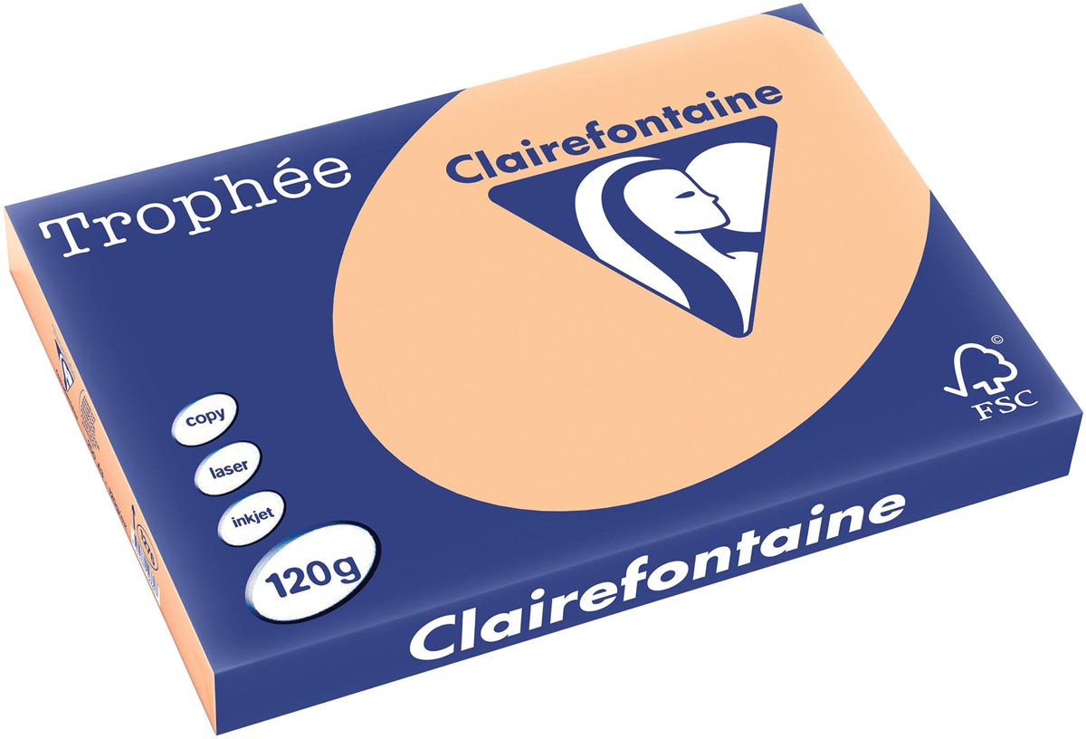 CLAIREFONTAINE - TROPHÉE TEL, PAPIER COLORED, A3, 120 G, 250 FEUILLE, APRICOT