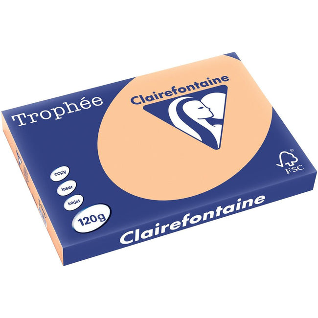 Clairefontaine -  Trophée tel, gekleurd papier, A3, 120 g, 250 vel, abrikoos