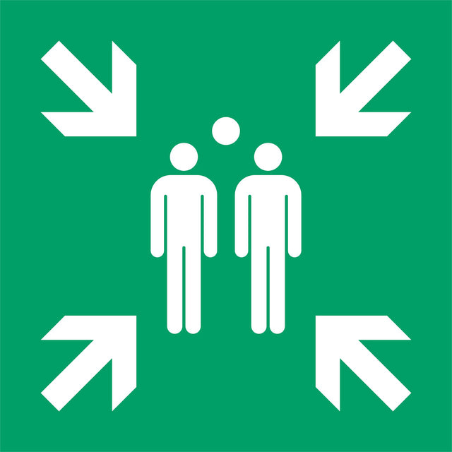 Quantore - Icon sign Djois Meeting point 300x300mm green