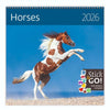 Helma 365 - Calendario 2026 cavalli 30x30cm