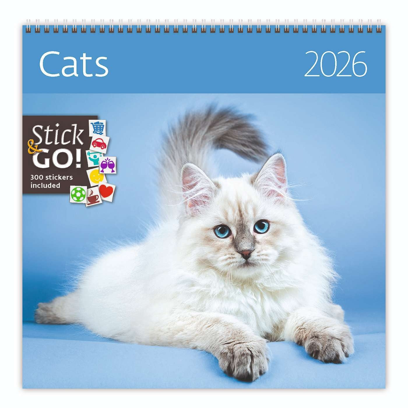 Helma 365 -  Kalender 2027 30x30cm katten