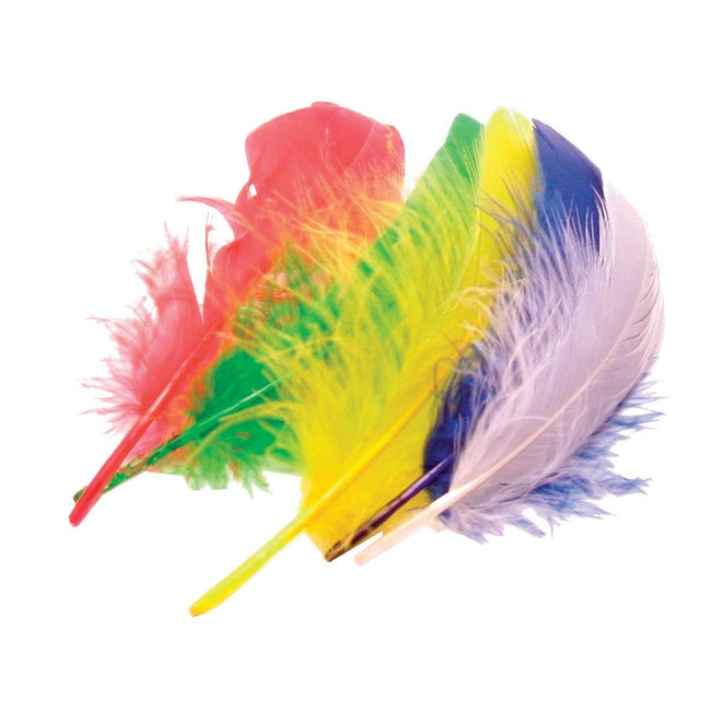 Bouhon - plumes 15 cm, 50 pièces