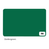 Folia Paper - Photo cardboard Folia 2-sided 50x70cm 300gr nr58 dark green | 10 pieces