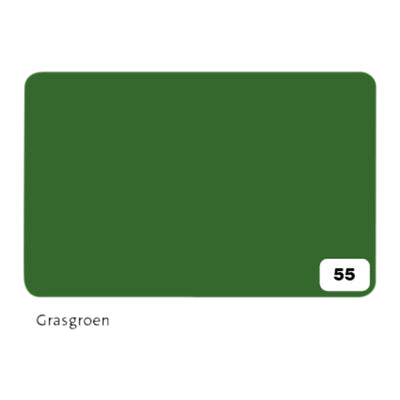 Folia Paper -  Fotokarton folia 300gr 50x70cm 55 grasgroen | 10 stuks