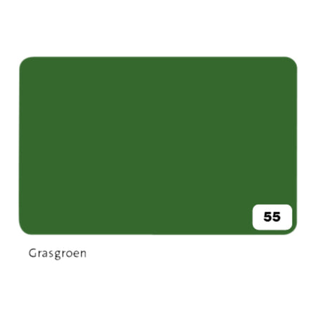 Folia Paper - Fotokarton Folia 2-seitig 50x70cm 300gr Nr55 grasgrün | 10 Stück
