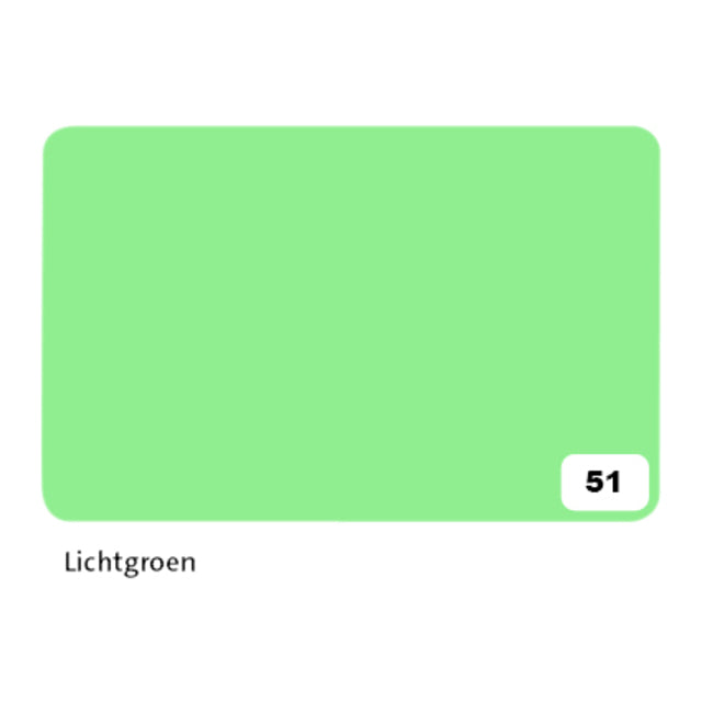 Folia Paper - Photo cardboard Folia 2-sided 50x70cm 300gr nr51 light green | 10 pieces
