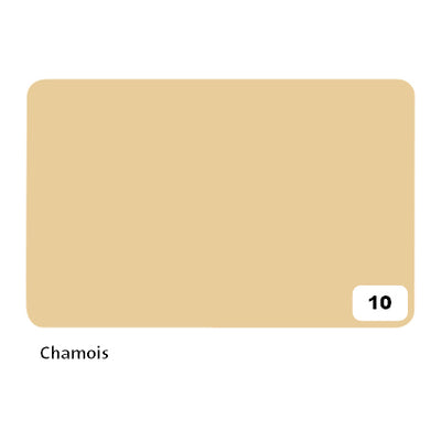 Folia Paper -  Fotokarton folia 300gr 50x70cm 10 chamois | 10 stuks