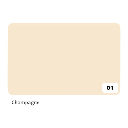 Folia Paper - Fotokarton Folia 2-seitig 50x70cm 300gr Nr01 Champagner | 10 Stück
