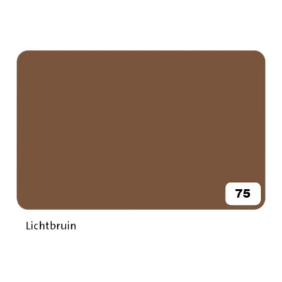 Folia Paper -  Fotokarton folia 300gr 50x70cm 75 reebruin | 10 stuks