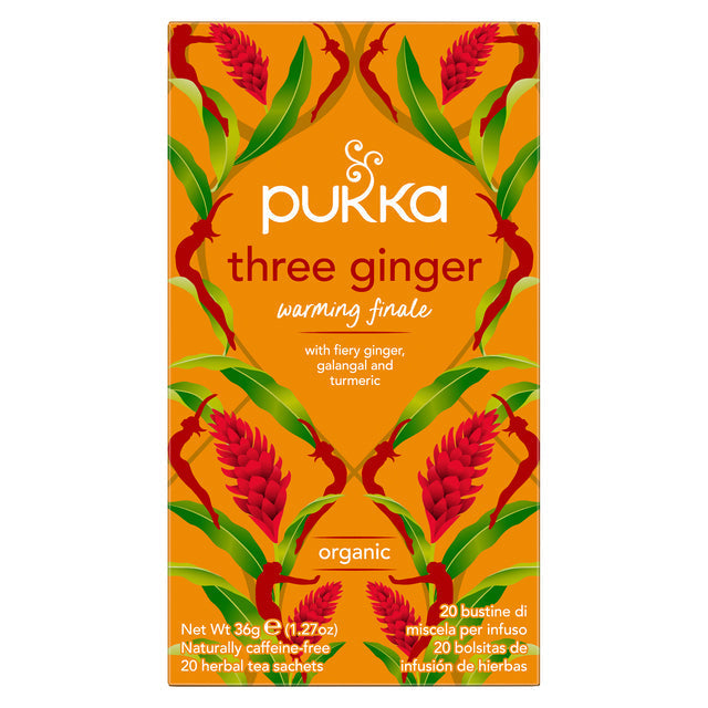 Pukka - Teeginger 20 Taschen