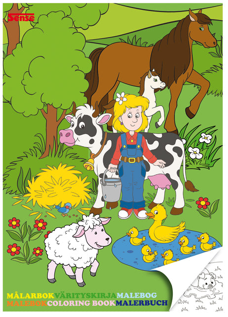 Sense - Colorbook Haza Farm | Boîte extérieure une pièce 12