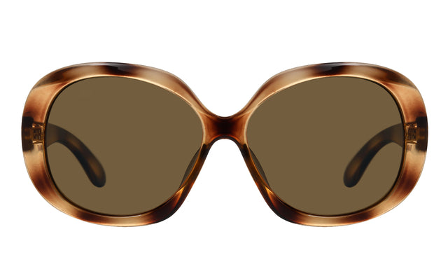 Montana -  Zonnebril  bruin polar glas glans demi