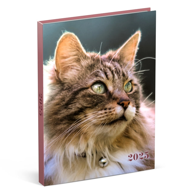 Lannoo - Agenda 2025 I miei amici preferiti 7 giorni/2 pagine