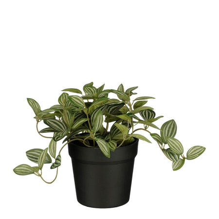 Mica Decoraciones - Planta artificial Mica Tradescantia en maceta 16x16cm | 6 piezas