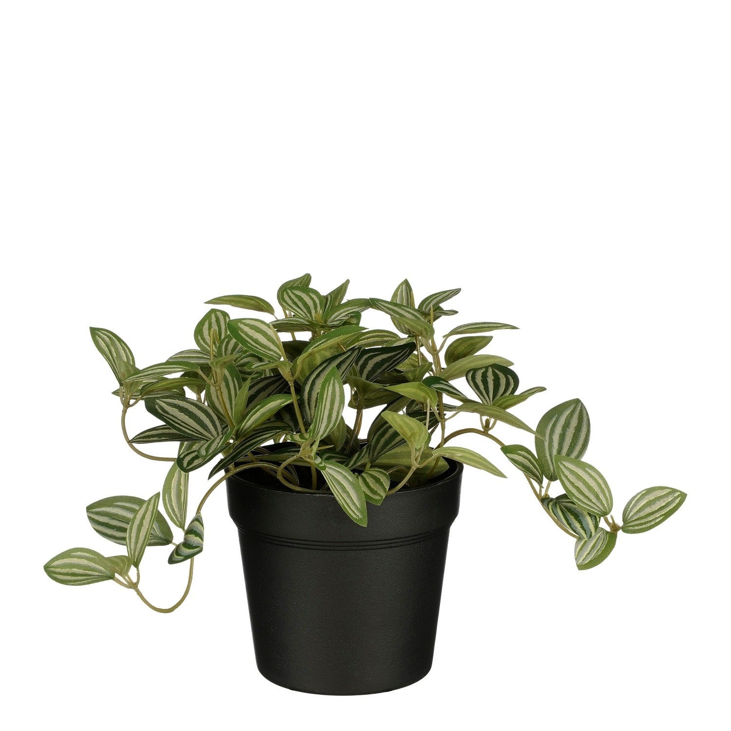 Mica Decorations -  Kunstplant mica tradescantia in pot 16x16cm
