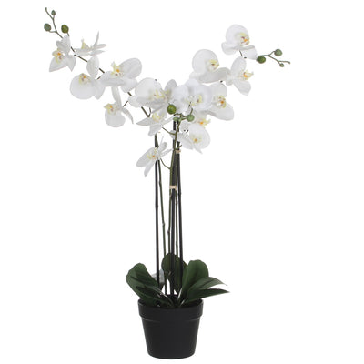 Mica Decorations -  Kunstplant mica phalaenopsis orchidee wit | 2 stuks