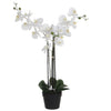 Mica Decorations -  Kunstplant mica phalaenopsis orchidee wit