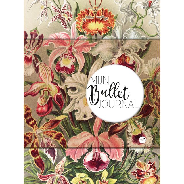 Bullet Journal - My orchid dots 240 pages