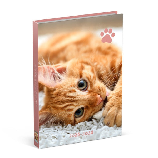 Lannoo - Agenda scolaire 25-26 Chats 1 jour/1 page rose