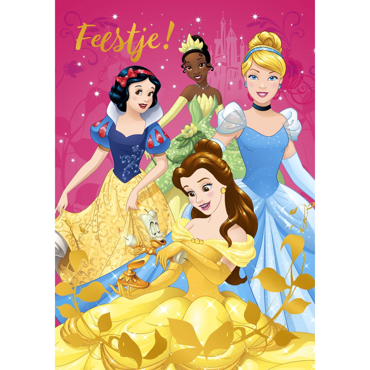 Segno distintivo: inviti per ragazzeprincipessa Disney