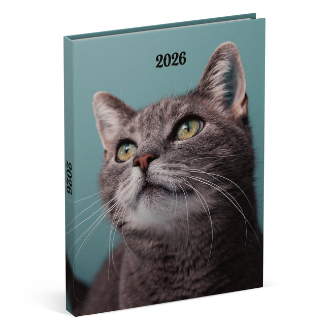 Lannoo - Agenda 2026 mes amis préférés 7j/2p chats