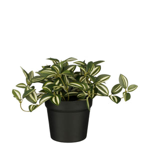 Mica Decorations -  Kunstplant mica tradescantia in pot groen