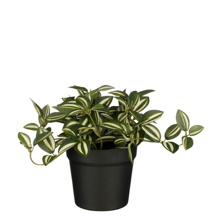 Mica Decorations -  Kunstplant mica tradescantia in pot groen