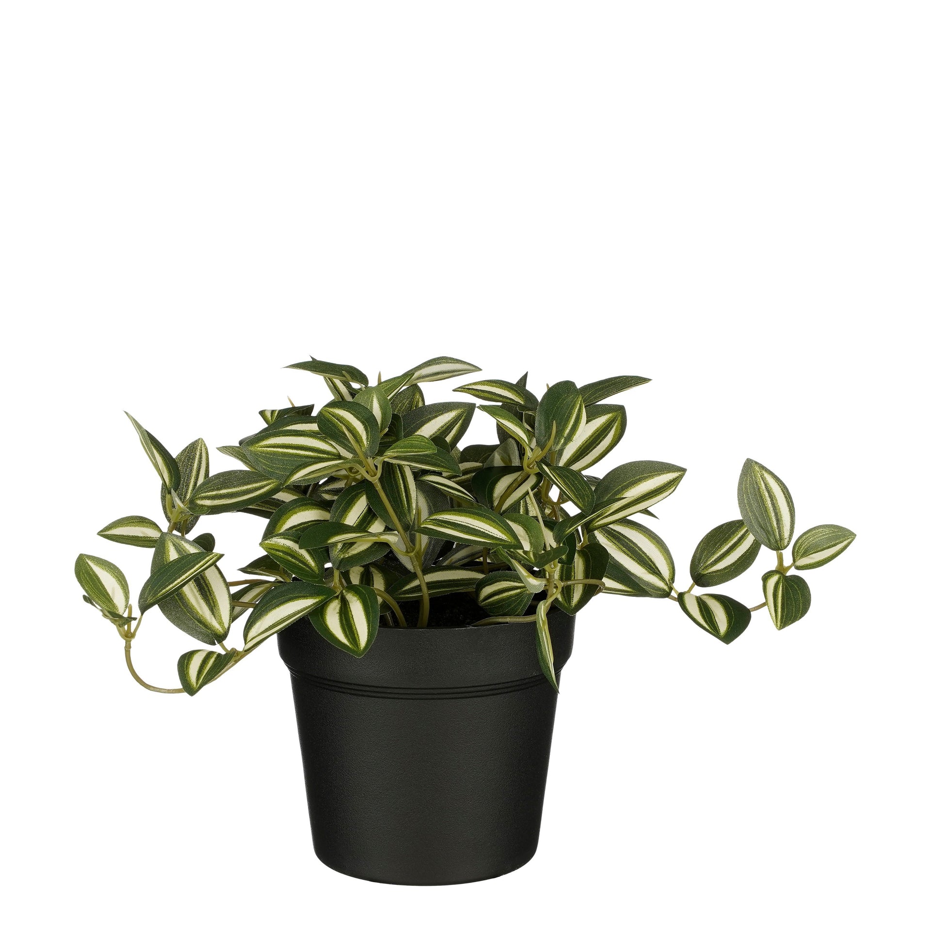 Mica Decorations -  Kunstplant mica tradescantia in pot groen | 6 stuks