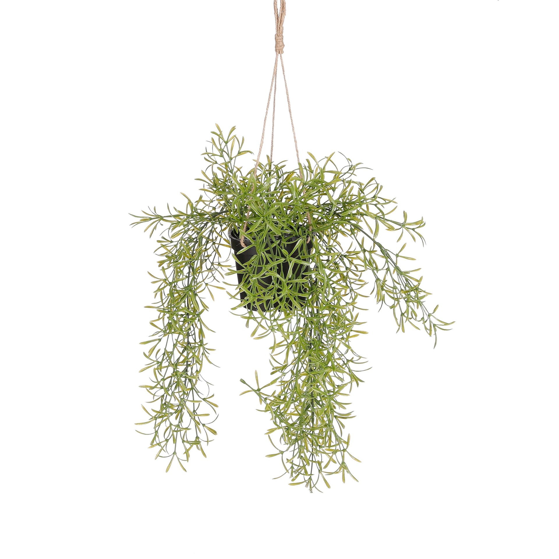 Mica Decorations -  Kunstplant mica rhipsalis hangend in pot groen